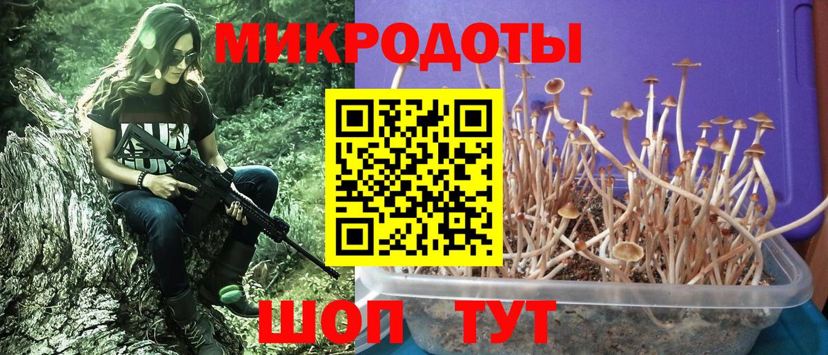 Галлюциногенные грибы Cubensis  Вход с VPN  купить   Улан-Удэ 